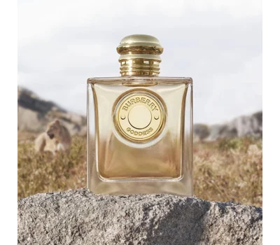 Goddess EDP