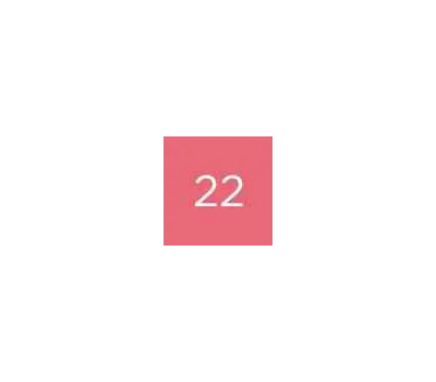 22 Rosa Acceso