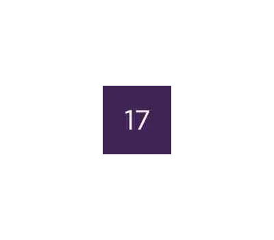 17 Viola