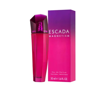 Magnetism EDP