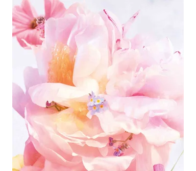 Miss Dior Blooming Bouquet Eau De Toilette
