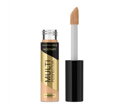 Face Finity Multi Concealer 2N