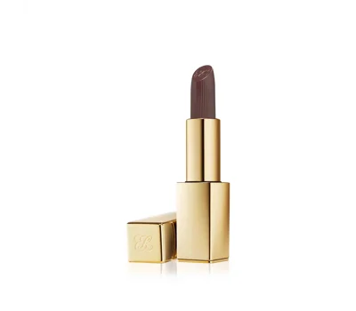 Pure Color Matte Lipstick