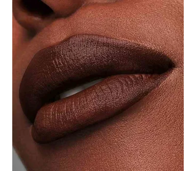 Pure Color Matte Lipstick