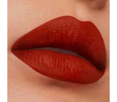 Pure Color Matte Lipstick