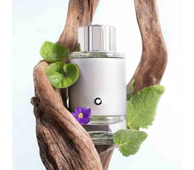 Montblanc Explorer Platinum EDP