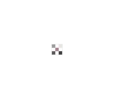 073 Pied-De-Poule