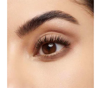 Eye Quartet Palette Eyeshadow