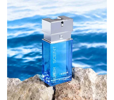 Silver Scent Aqua EDP 100 ml