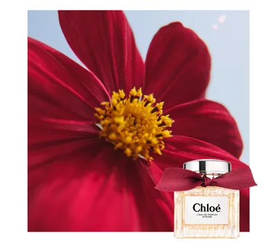 Chloe Intense Eau De Parfum