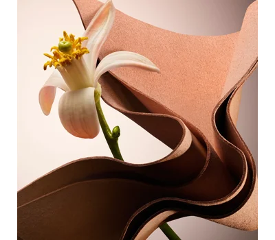 The Scent Parfum