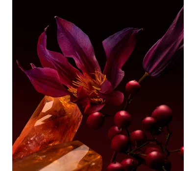 The Scent Elixir Parfum Intense For Her