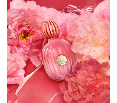 The Icon Splendid Eau De Parfum For Women