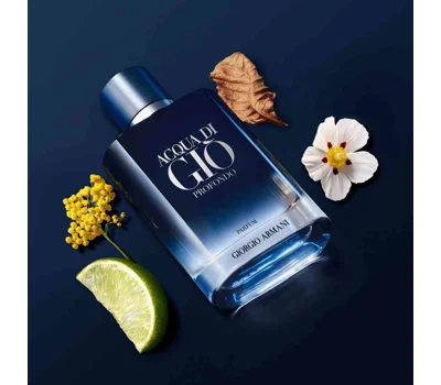 Acqua Di Giò Profondo Parfum