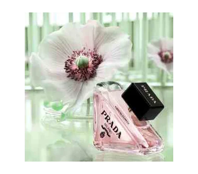 Paradoxe Virtual Flower