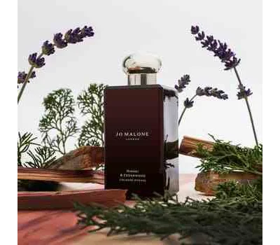 Hinoki & Cedarwood Cologne Intense