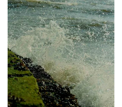 Wood Sage & Sea Salt Exfoliating Shower Gel