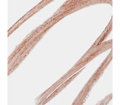 High Impact™ Gel Tech Eyeliner